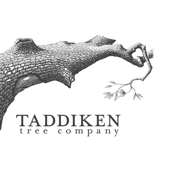 Taddiken Tree Company